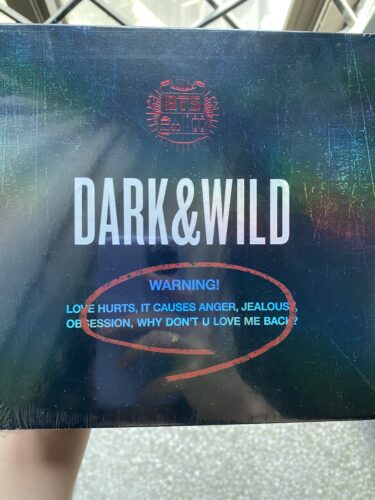 BTS- DARK&WILD photo review
