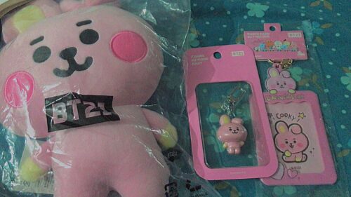 BT21 Baby Keychain Photocard Holder-Cooky photo review