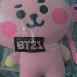 BT21 Baby Standing Plush-Cooky photo review